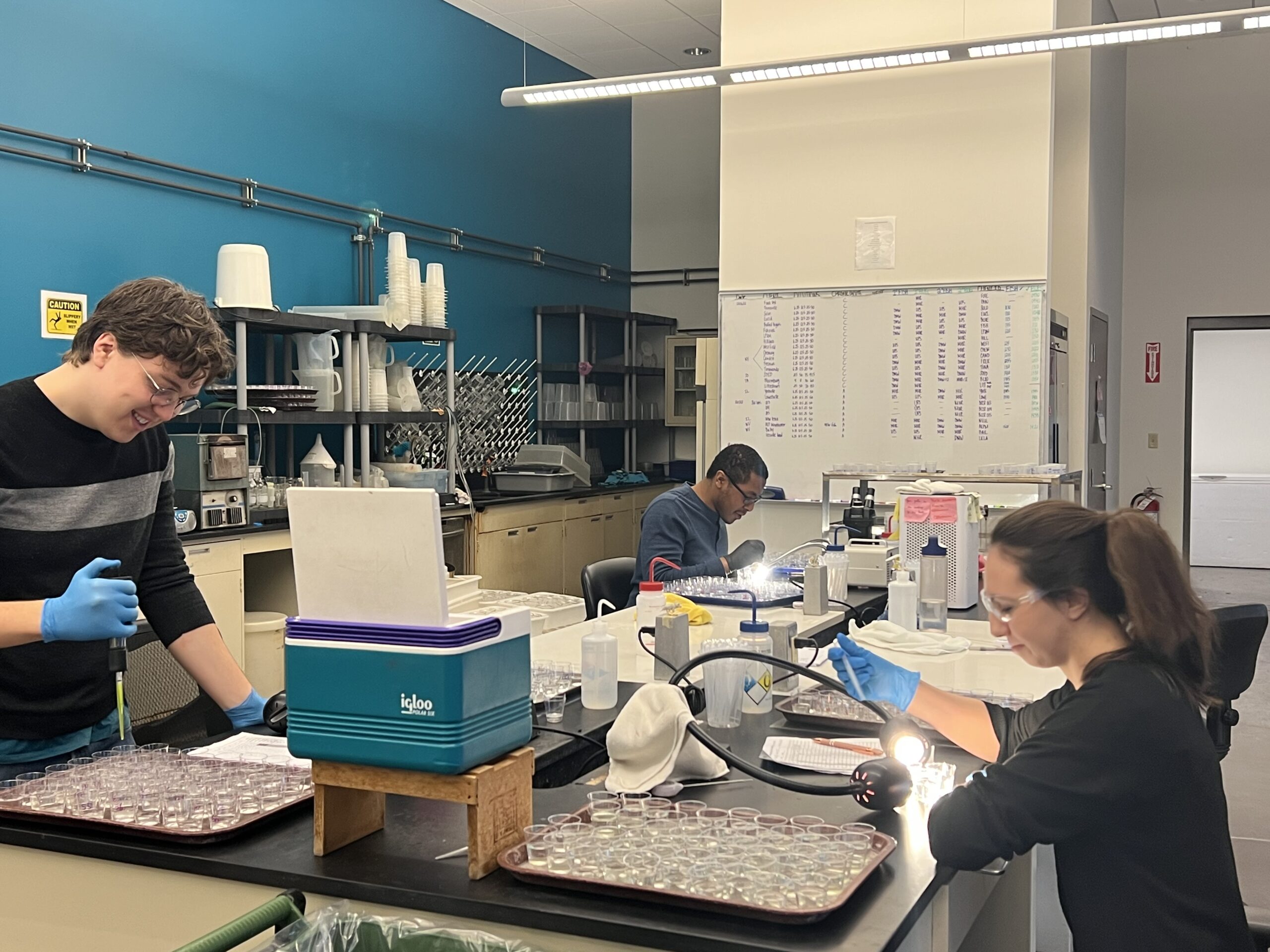 materiale textile toxice